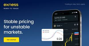 Discovering the Best Exness Account Forex A Comprehensive Guide Discovering the Best Exness Account Forex A Comprehensive Guide