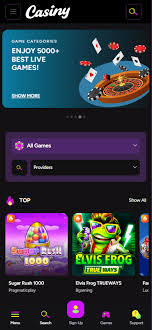Experience the Thrills at Casiny Casino