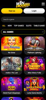Your Comprehensive Guide to Win Diggers Gambling Establishment